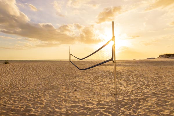 Beach Haven Gallery